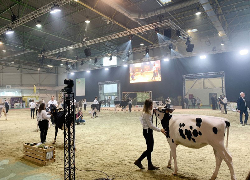 "Agrimax Projecteur Boston Cromatic"