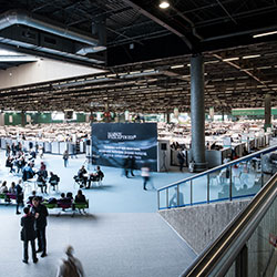 Think Green GL events Audiovisual