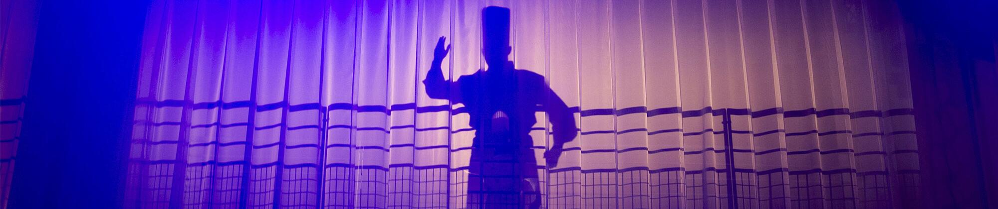 Gala des Bocuse d'Or La Sucrière