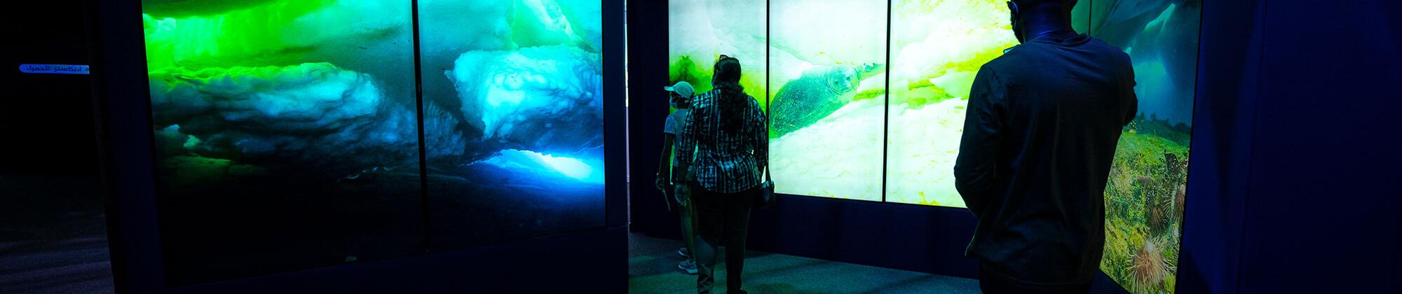 Expo 2020 Dubai - Pavillon France