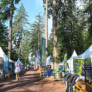 Euroforest