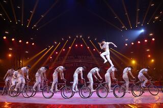 Festival du cirque de monte carlo