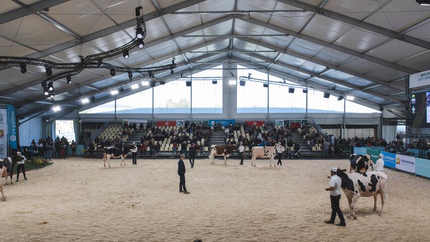 sommet de l'élevage