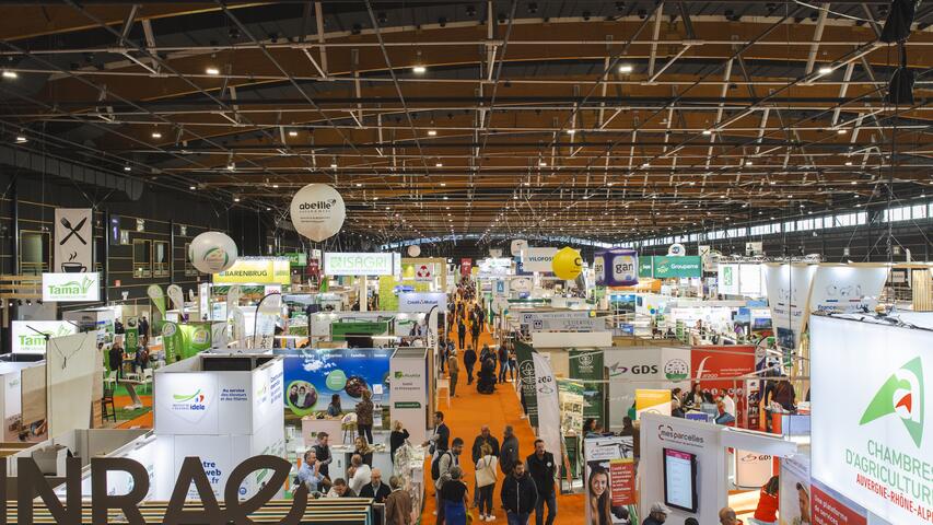 sommet de l'élevage