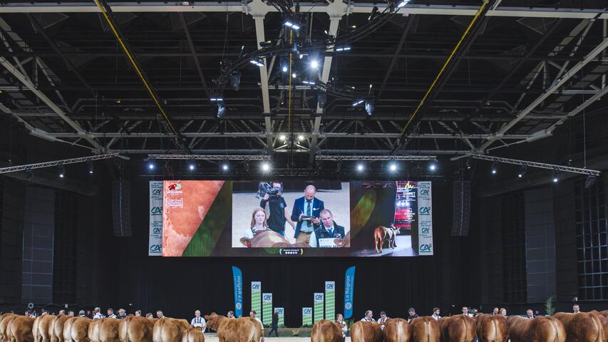 sommet de l'élevage