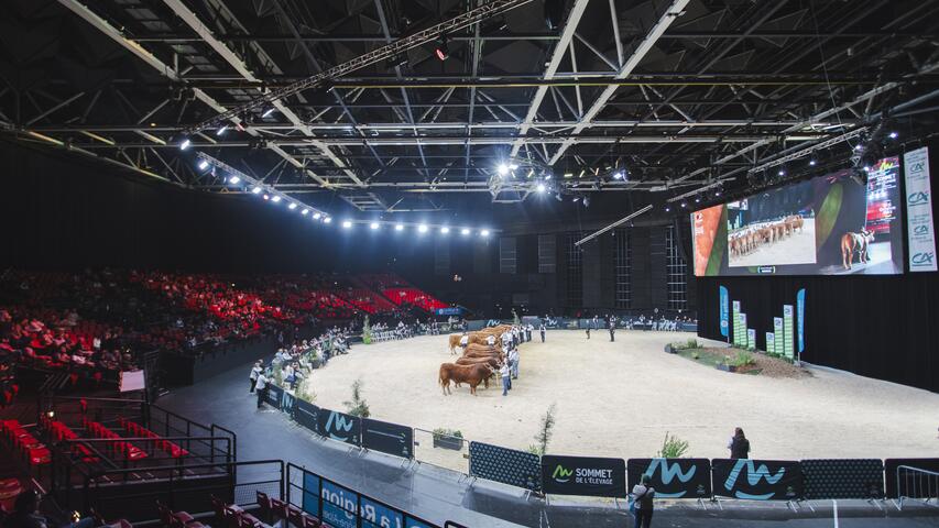 sommet de l'élevage