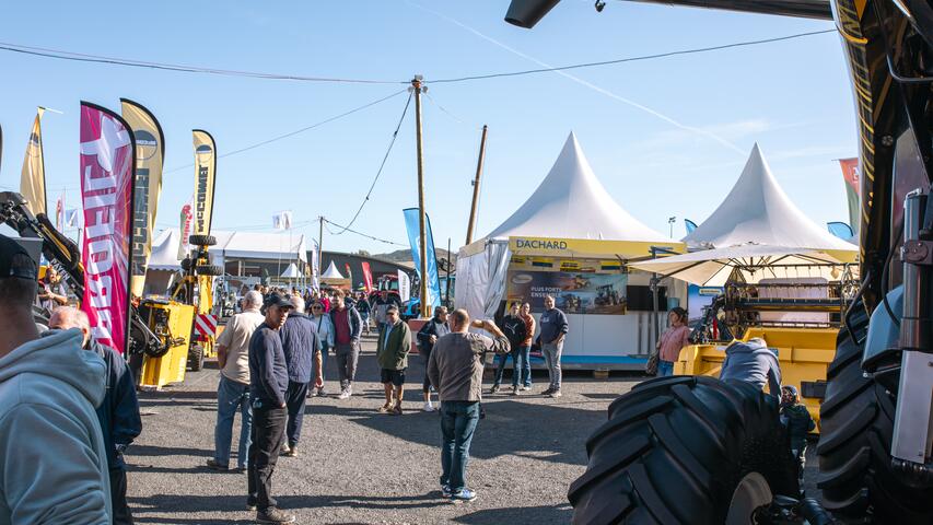 sommet de l'élevage