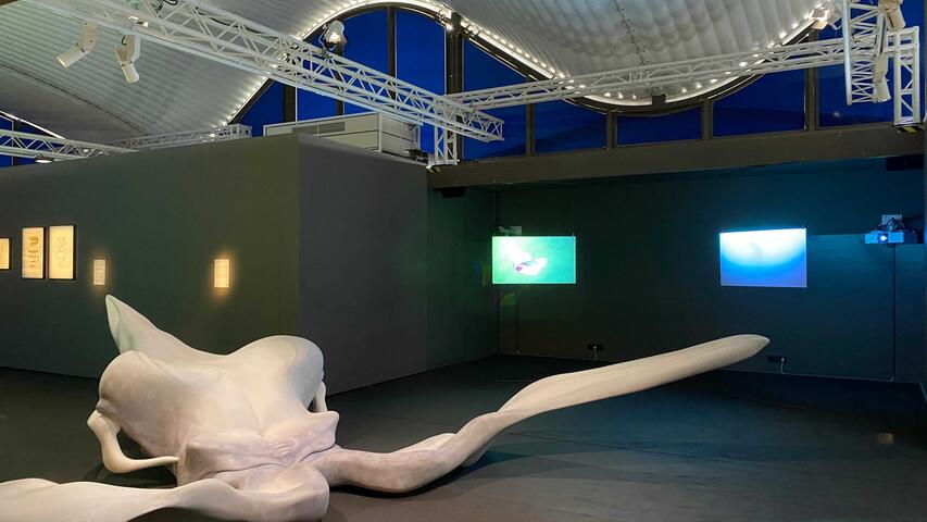 Festival Art Explora 2024